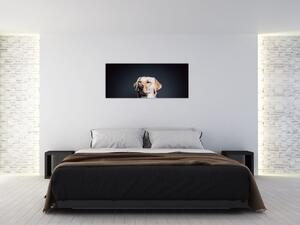 Slika labradora (120x50 cm)