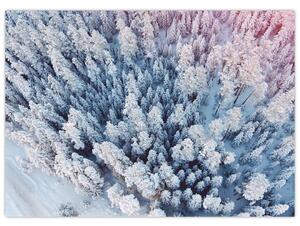 Slika snježnih stabala (70x50 cm)