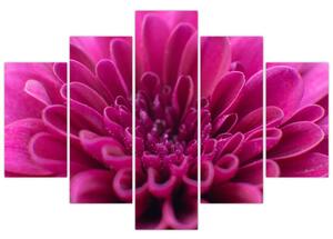 Slika cvijeta (150x105 cm)