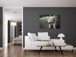 Slika bijelog psa (90x60 cm)