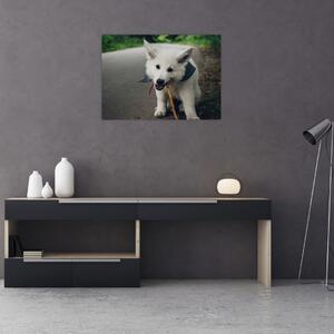 Slika bijelog psa (70x50 cm)