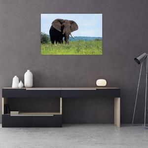 Slika slona (90x60 cm)