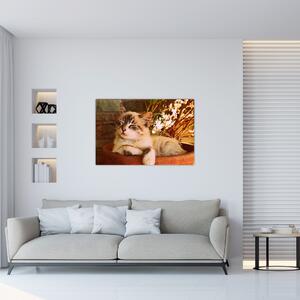 Slika mačke u loncu (90x60 cm)