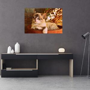 Slika mačke u loncu (90x60 cm)