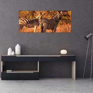 Slika zebri (120x50 cm)