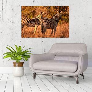 Slika zebri (90x60 cm)