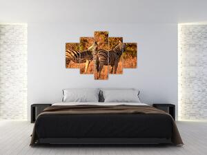 Slika zebri (150x105 cm)