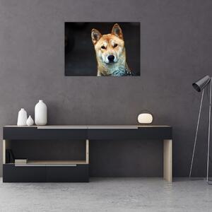 Slika psa (70x50 cm)