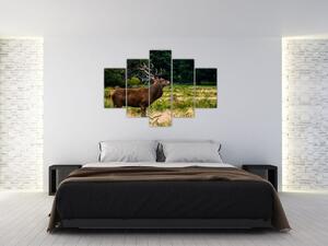 Slika jelena (150x105 cm)