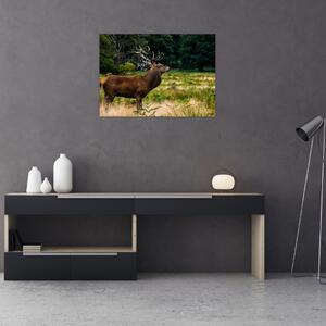 Slika jelena (70x50 cm)