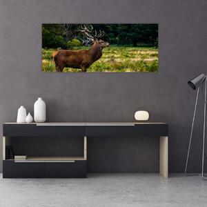 Slika jelena (120x50 cm)