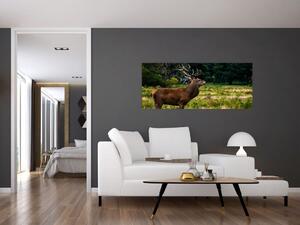 Slika jelena (120x50 cm)