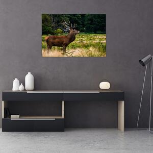 Slika jelena (90x60 cm)