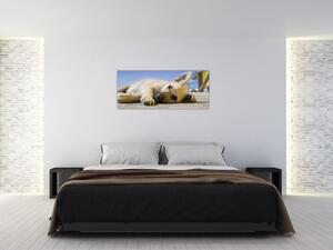 Slika ležećeg psića (120x50 cm)