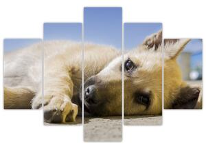 Slika ležećeg psića (150x105 cm)