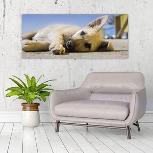 Slika ležećeg psića (120x50 cm)