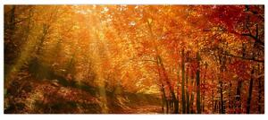 Slika jesenske šume (120x50 cm)