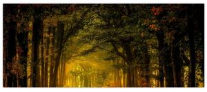 Slika šume (120x50 cm)