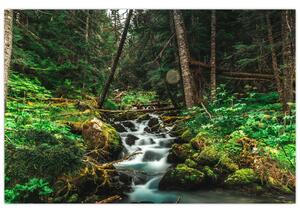 Slika potoka u šumi (90x60 cm)