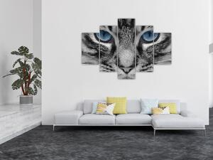 Slika mačke (150x105 cm)