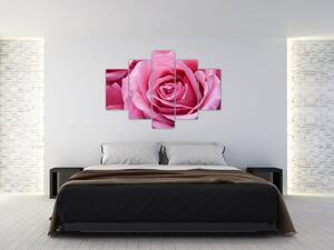 Slika ruže (150x105 cm)