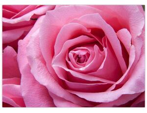 Slika ruže (70x50 cm)