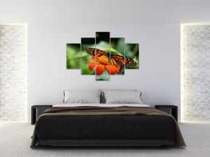 Slika leptira na cvijetu (150x105 cm)