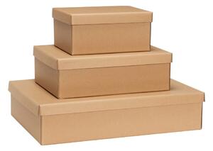 Kartonske kutije za pohranu u setu 3 kom s poklopcem u prirodnoj boji 44x31x10 cm Storeit – Hübsch