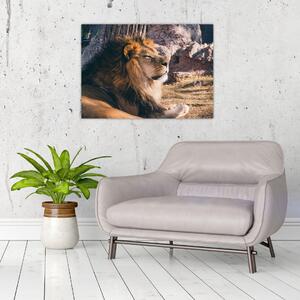 Slika ležećeg lava (70x50 cm)