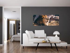 Slika ležećeg lava (120x50 cm)
