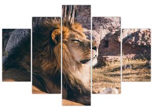 Slika ležećeg lava (150x105 cm)