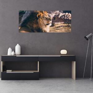Slika ležećeg lava (120x50 cm)