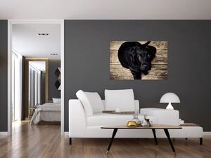 Slika crnog psića (90x60 cm)