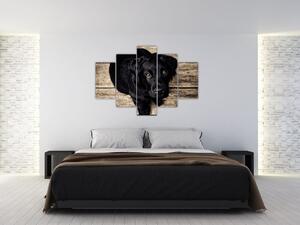 Slika crnog psića (150x105 cm)