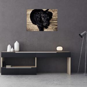 Slika crnog psića (70x50 cm)