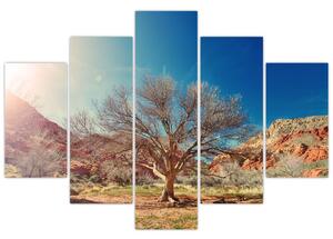 Slika stabla u pustinji (150x105 cm)