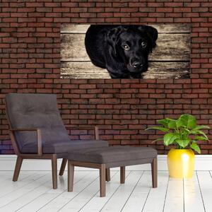 Slika crnog psića (120x50 cm)