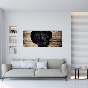 Slika crnog psića (120x50 cm)