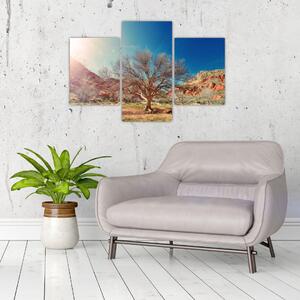 Slika stabla u pustinji (90x60 cm)