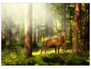 Slika jelena u šumi (70x50 cm)