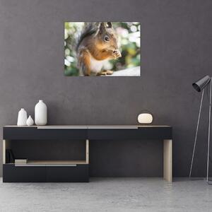 Slika vjeverice (70x50 cm)