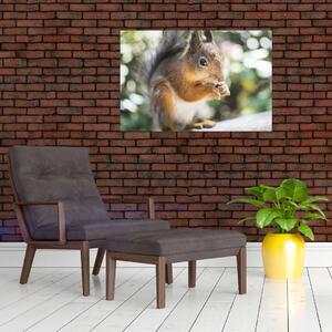 Slika vjeverice (90x60 cm)