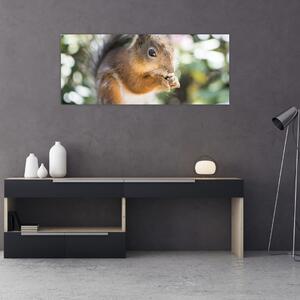 Slika vjeverice (120x50 cm)
