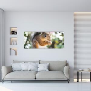 Slika vjeverice (120x50 cm)