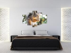 Slika vjeverice (150x105 cm)