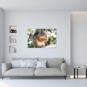 Slika vjeverice (90x60 cm)