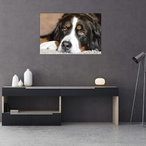 Slika psa (90x60 cm)