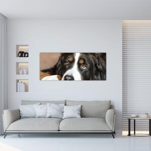 Slika psa (120x50 cm)