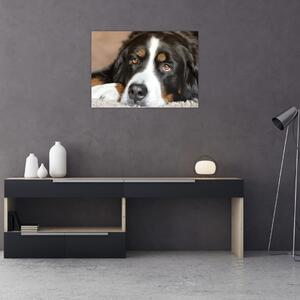 Slika psa (70x50 cm)