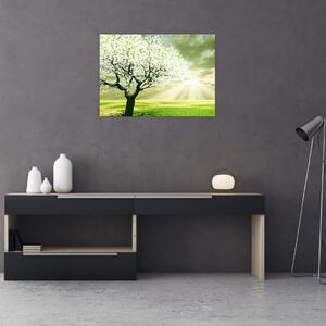 Slika stabla na livadi (70x50 cm)